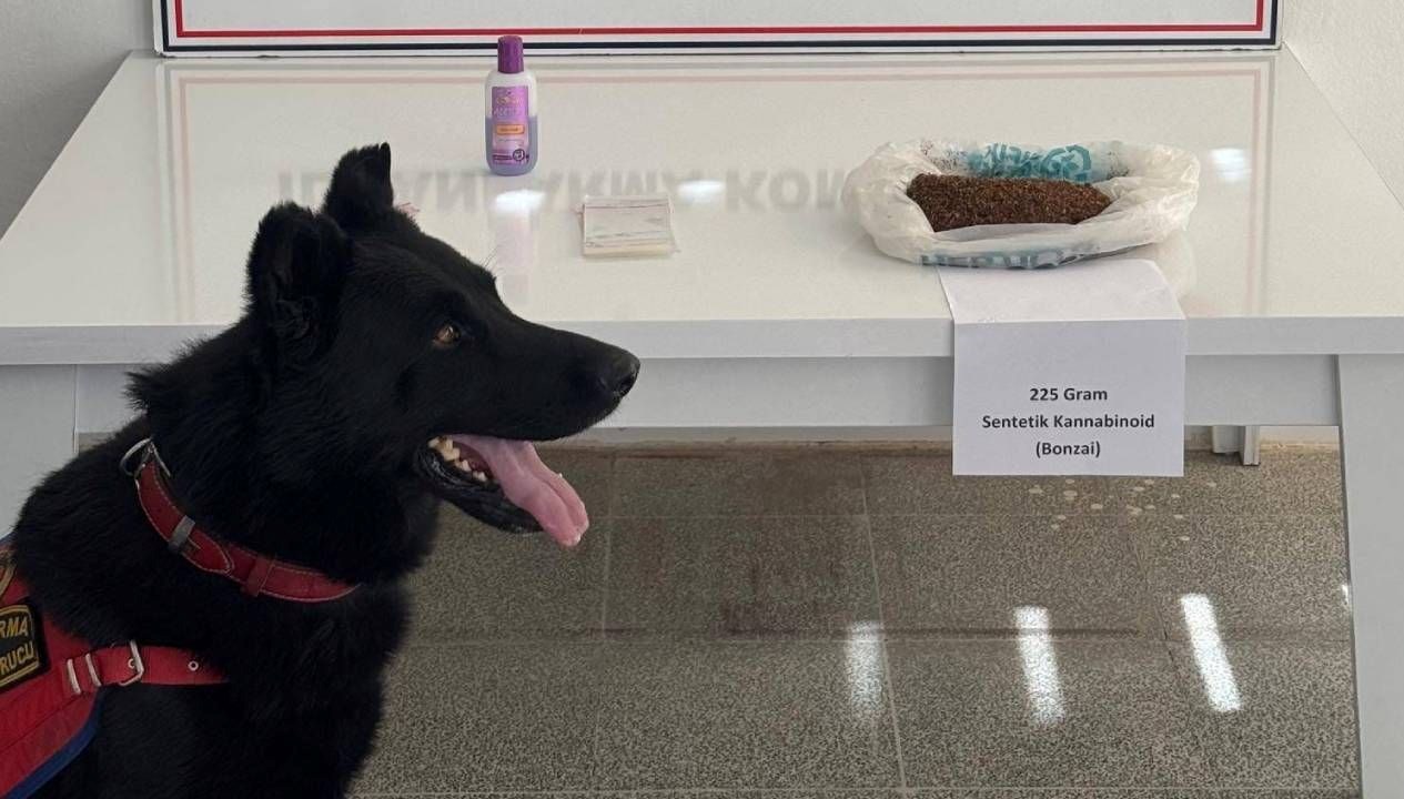 musta uyusturucu operasyonu 2 gozalti dvaXfDBy