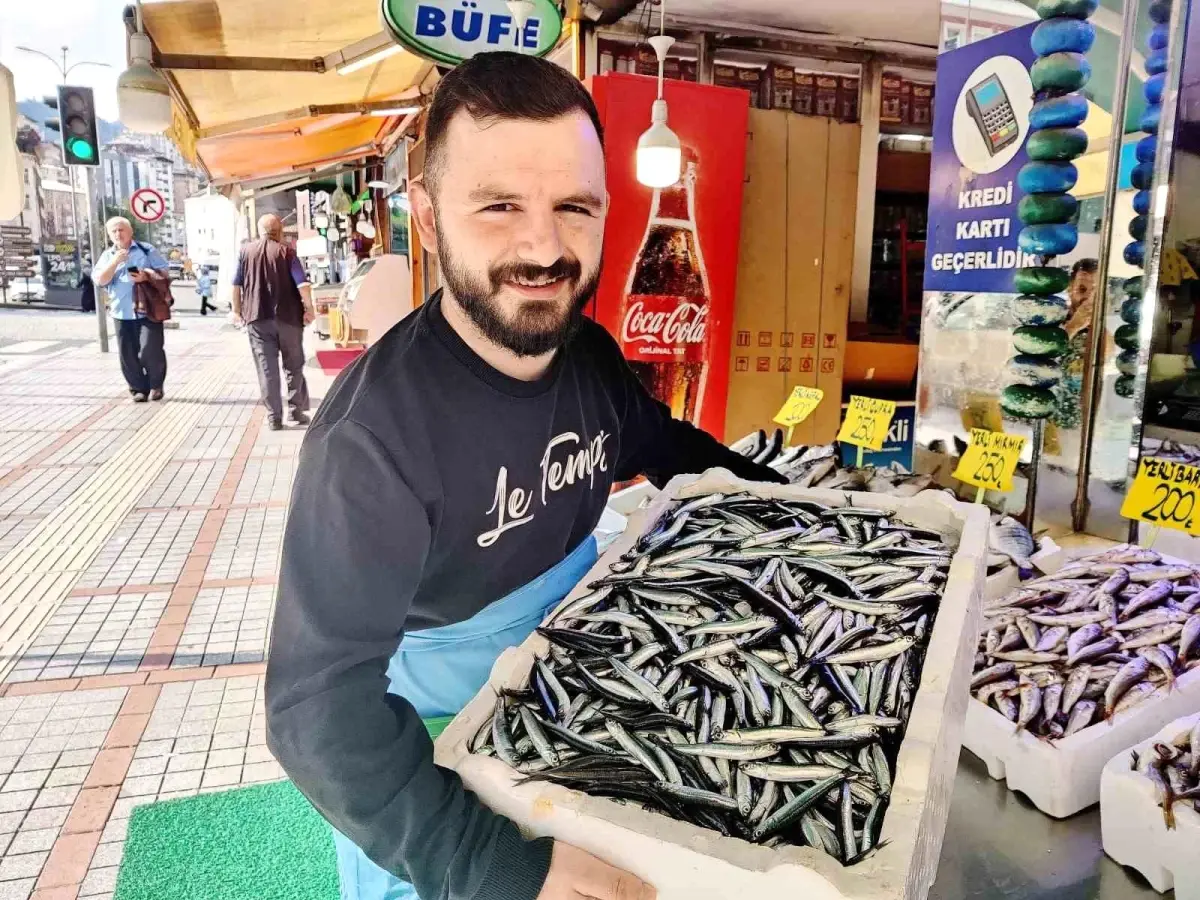 rizede yerli hamsi ilk defa 200 tlden satista ZTzkWRST