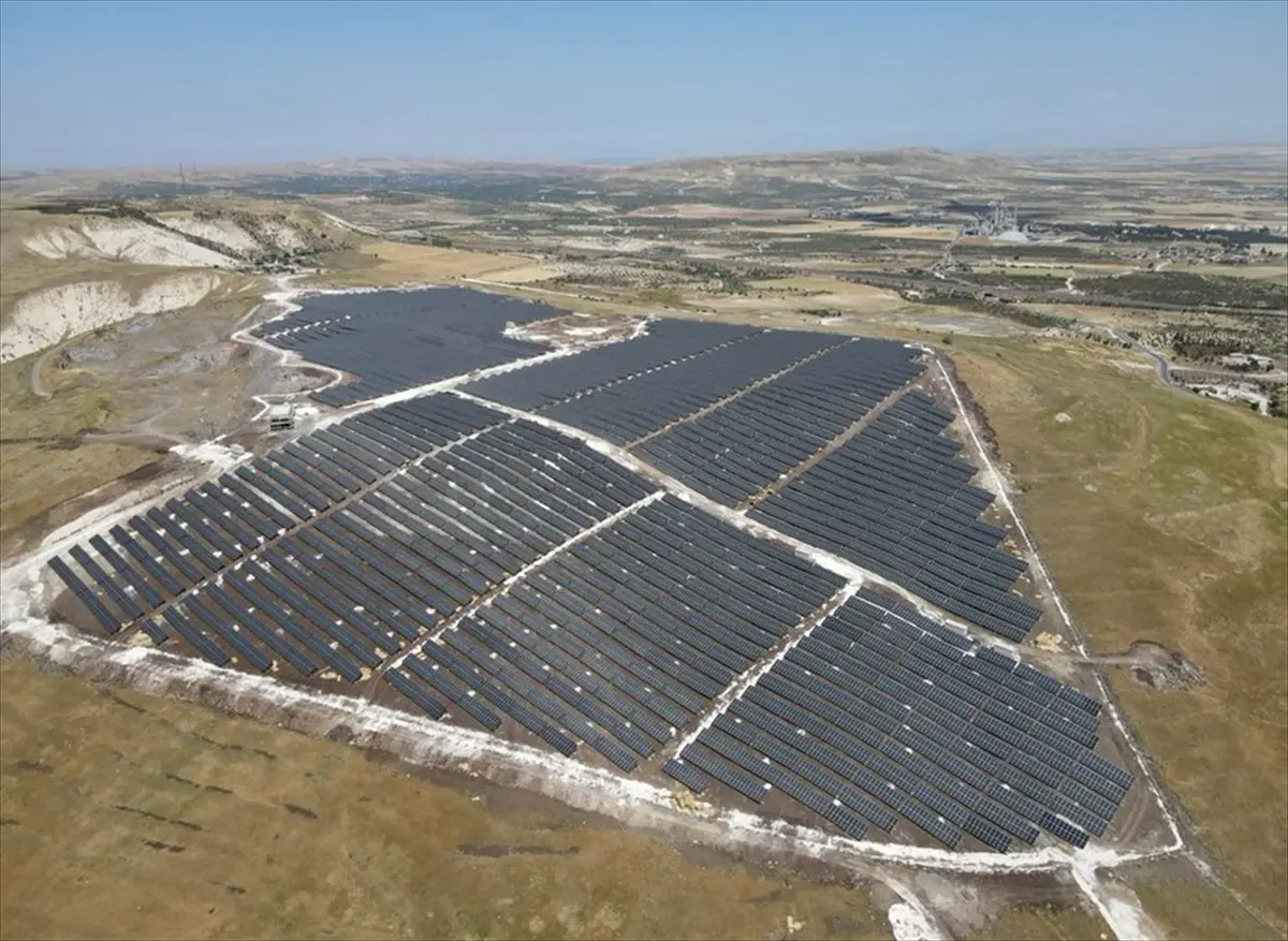 nesli tukenme tehlikesindeki cizgili sirtlan goruntulendi Qad577zN