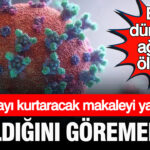 Dunyayi eboladan kurtaracak makaleyi yazdilar ama basildigini goremediler bilim dunyasini aglatan olum f1Ri8kIX