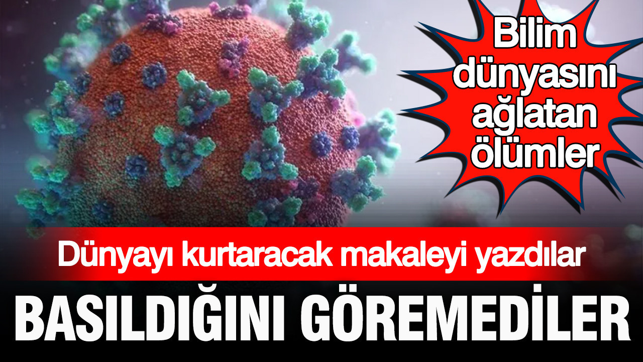 Dunyayi eboladan kurtaracak makaleyi yazdilar ama basildigini goremediler bilim dunyasini aglatan olum f1Ri8kIX
